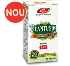 Plantusin tuse productiva, R62, 30 capsule, Fares