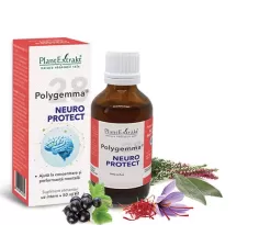 Polygemma 28, Neuro Protect, 50ml, PlantExtrakt