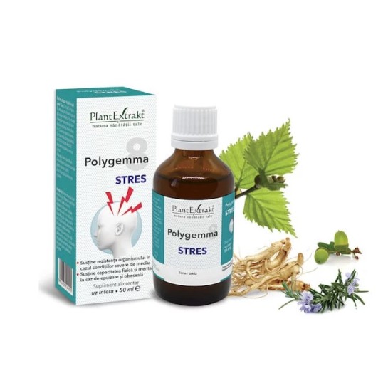 Polygemma 8, Stres