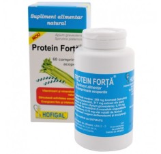 Protein Forta, 60 comprimate, Hofigal
