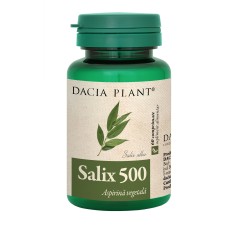 Salix, 60 comprimate, Dacia Plant