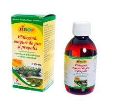 Sirop patlagina + muguri de pin + propolis, 200ml, Elidor