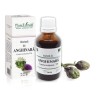 Tinctură anghinară (Cynara scolimus TM ), 50ml, PlantExtrakt
