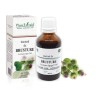 Tinctură brusture (Arctium lappa TM), 50ml, PlantExtrakt