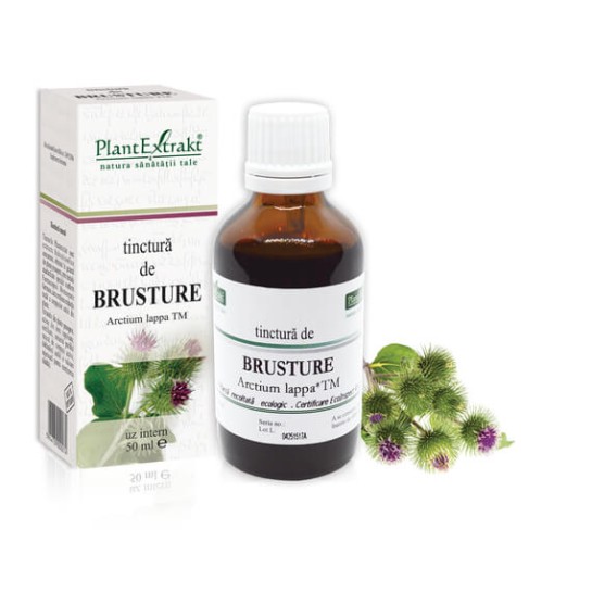 Tinctură brusture (Arctium lappa TM), 50ml, PlantExtrakt