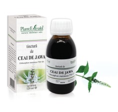 Tinctura ceai de jawa (Orthosiphon stamineus TM=D1), 120ml, PlantExtrakt