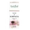 Tinctură echinaceea (Echinaceea TM), 50ml, PlantExtrakt