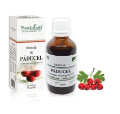 Tinctura paducel (Crategus monogyna TM), 50ml, PlantExtrakt