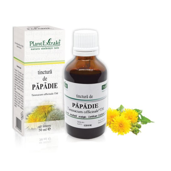 Tinctură păpădie (Taraxacum officinalis TM), 50ml, PlantExtrakt