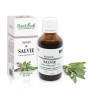 Tinctură salvie (Salvia officinalis TM), 50ml, PlantExtrakt