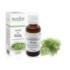 Tinctură tuia (Thuja occidentalis TM), 30ml, PlantExtrakt