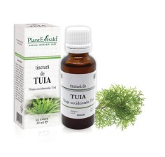 Tinctura tuia (Thuja occidentalis TM), 30ml, PlantExtrakt