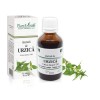 Tinctură urzică (Urtica dioica TM), 50ml, PlantExtrakt