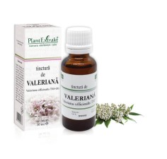 Tinctura valeriana (Valeriana officinalis TM=D1), 30ml, PlantExtrakt