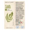 Tinctura de Coada Calului, 50ml, Dacia Plant 