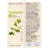 Tinctura de Cretisoara, 50ml, Dacia Plant