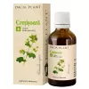 Tinctura de Cretisoara, 50ml, Dacia Plant