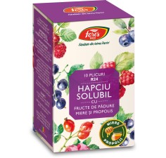 Hapciu R24, solubil cu fructe de padure, 10 plicuri, Fares