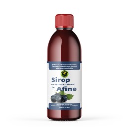 Sirop afine fara zahar, 500ml, Hypericum