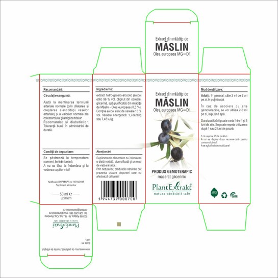 Extract mlădite măslin (Olea europaea) 50ml, PlantExtrakt