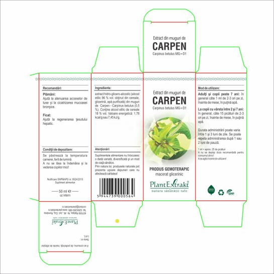 Extract muguri carpen (Carpinus betulus) 50ml, PlantExtrakt
