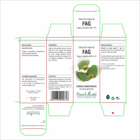 Extract muguri fag (Fagus sylvatica) 50ml, PlantExtrakt