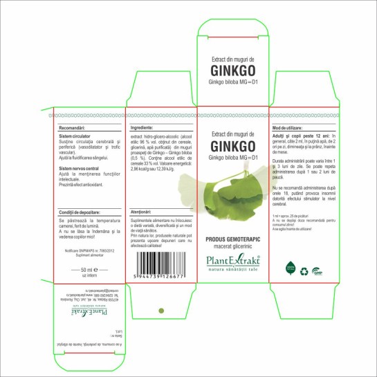 Extract muguri ginkgo (Ginkgo biloba) 50ml, PlantExtrakt