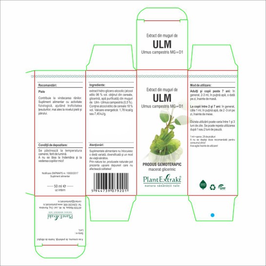 Extract muguri ulm (Ulmus campestris) 50ml, PlantExtrakt