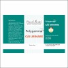 Polygemma 7, Căi urinare, 50ml, PlantExtrakt