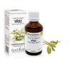 Extract mlădite vasc (Viscum album) 50ml, PlantExtrakt