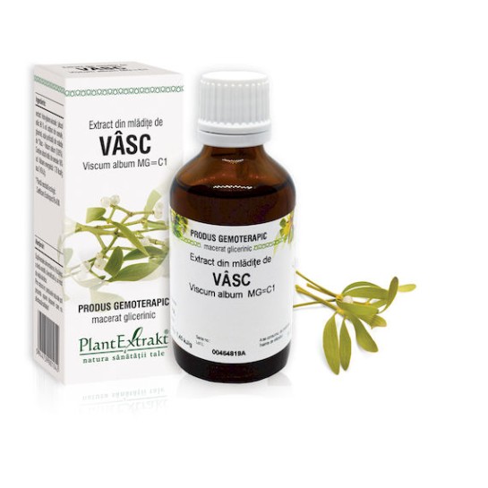 Extract mlădite vasc (Viscum album) 50ml, PlantExtrakt
