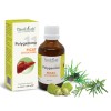 Polygemma 11, Ficat detoxifiere, 50ml, PlantExtrakt