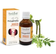 Polygemma 12, Rinichi detoxifiere, 50ml, PlantExtrakt