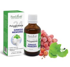 Polygemma 24, Ginkgo Memorie, 50ml, PlantExtrakt