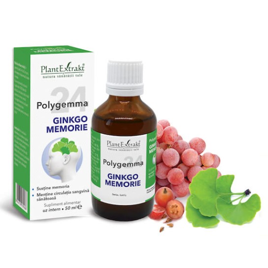 Polygemma 24, Ginkgo Memorie, 50ml, PlantExtrakt