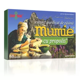 Mumie extract rasina + propolis, 60 capsule, Damar